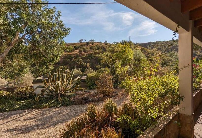 Casa Do Palmeiral   Hoom B&b