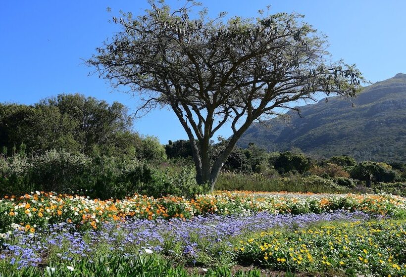 Bradclin Sport Newlands