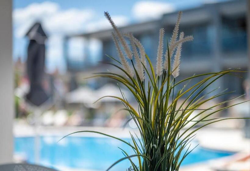 Dionysos Hotel & Suites