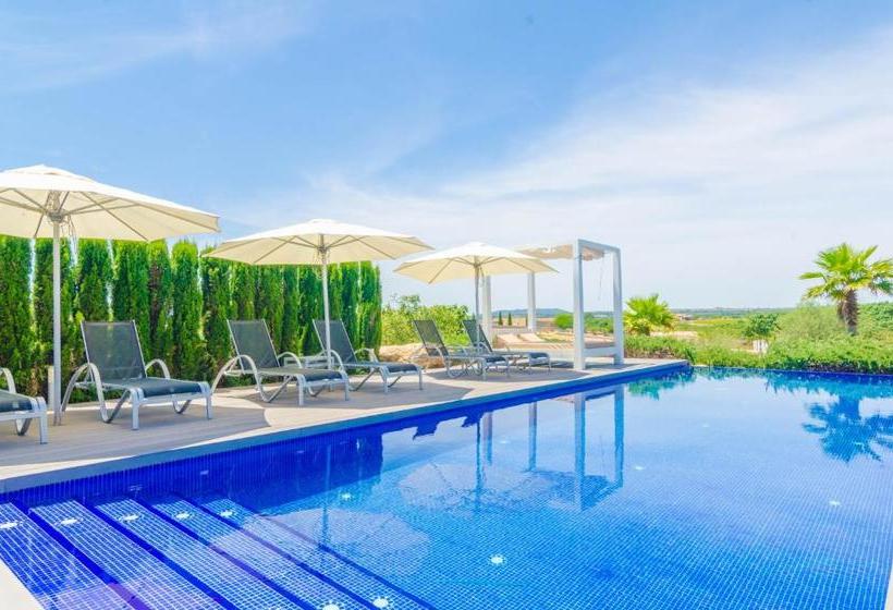 Finca Short De Conies 2