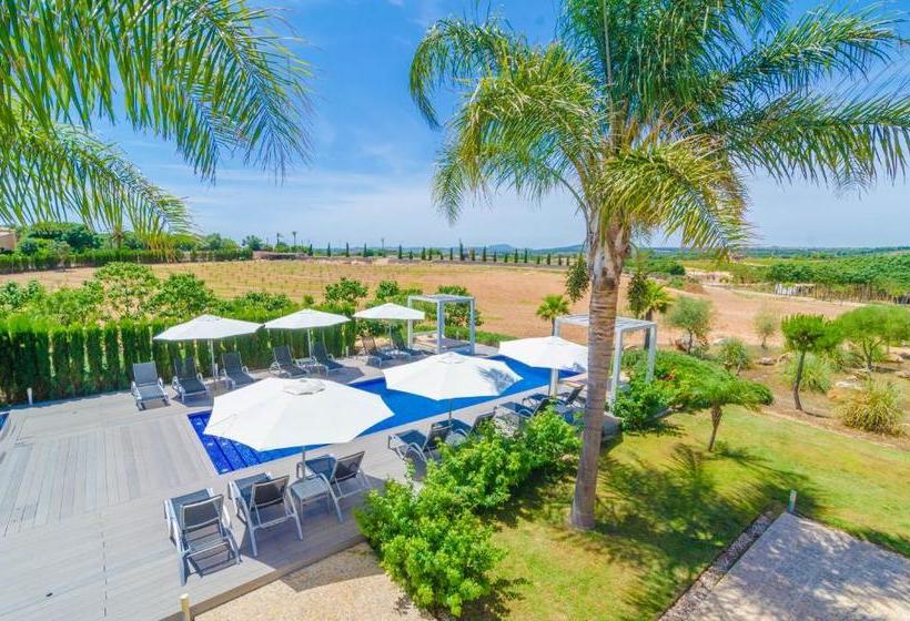 Finca Short De Conies 2