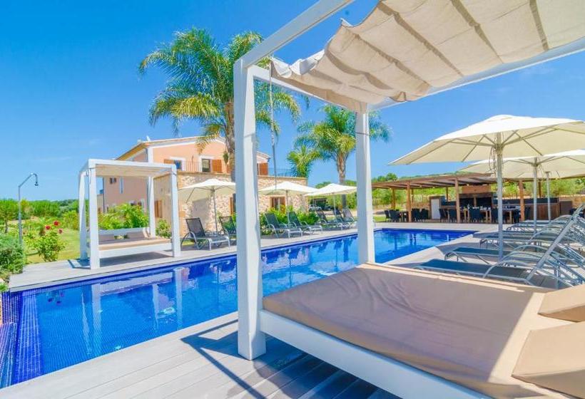 Finca Short De Conies 2