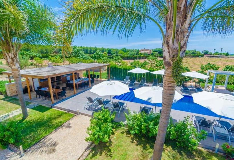 Finca Short De Conies 2