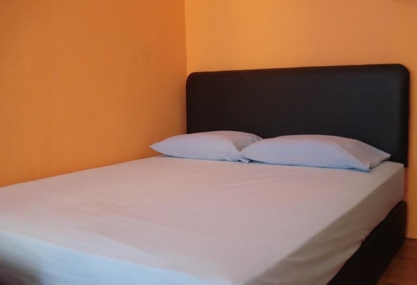 Harbourside Backpackers  Hostel