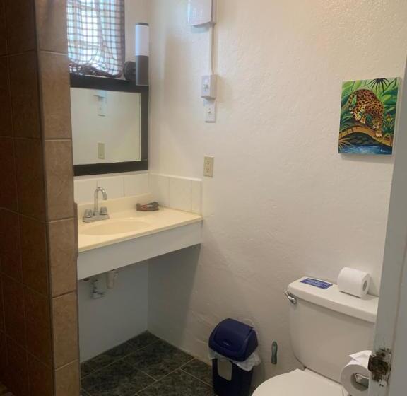 فندق All Seasons Belize