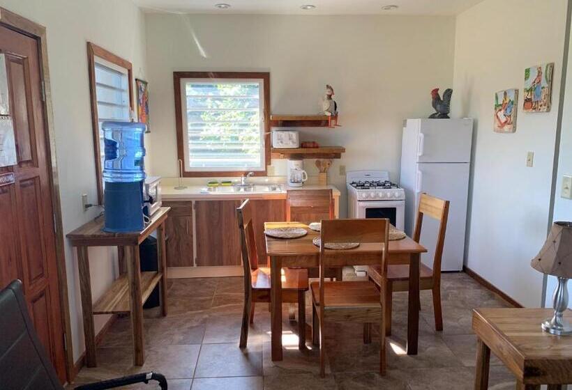 فندق All Seasons Belize