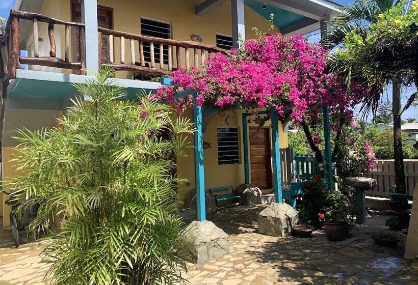 فندق All Seasons Belize