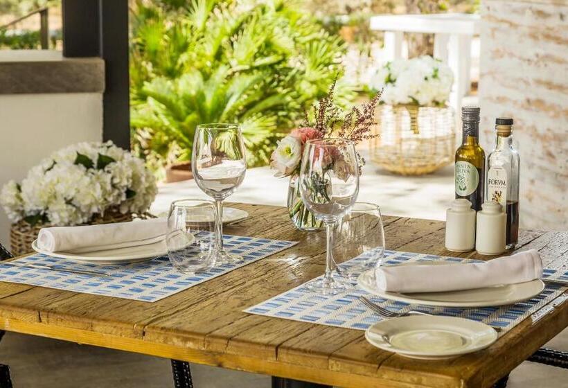 ホテル Catalonia Royal Ses Estaques - Adults Only