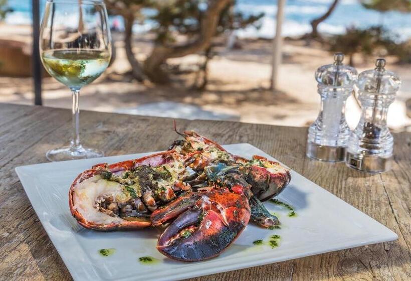 ホテル Catalonia Royal Ses Estaques - Adults Only