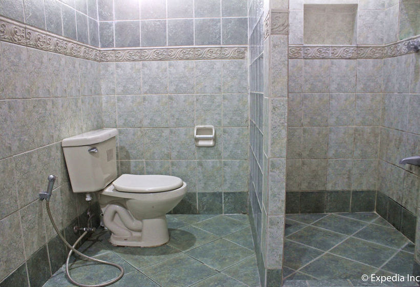 בית מלון כפרי Griffin Lodge