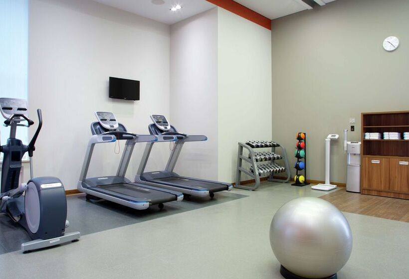 בית מלון כפרי Hilton Garden Inn Moscow Krasnoselskaya