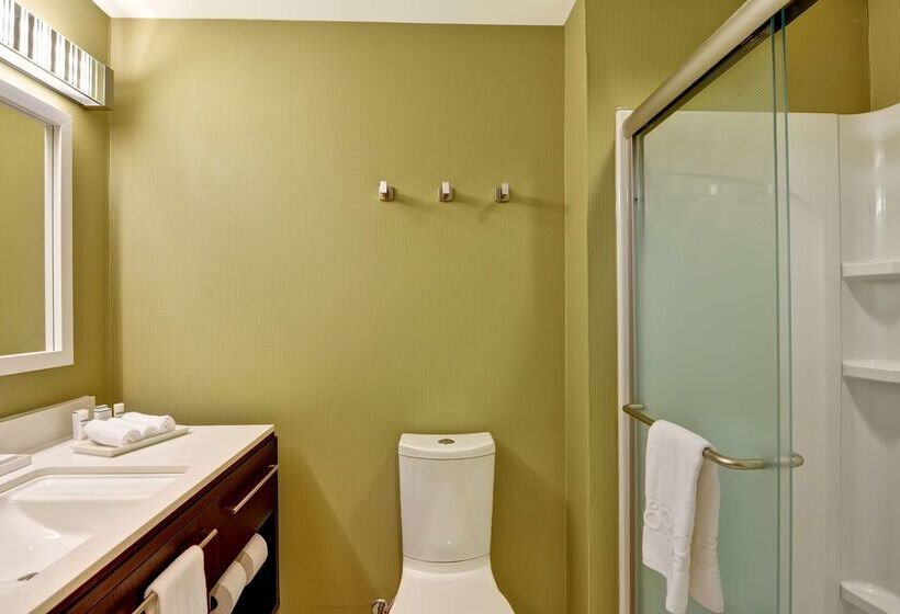 ホテル Home2 Suites By Hilton Dickson City Scranton