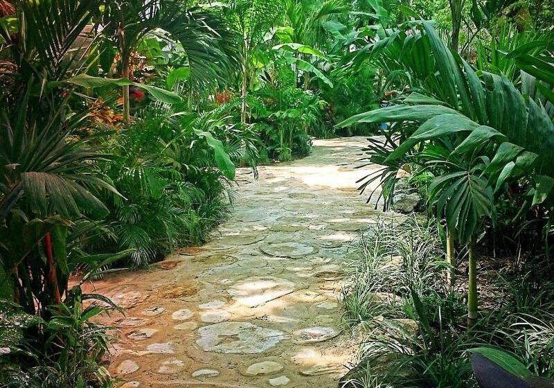 酒店 Ocho Artisan Bungalows