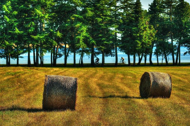 فندق Rivalmare Boutique