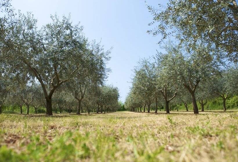 בית מלון כפרי Rivalmare Boutique