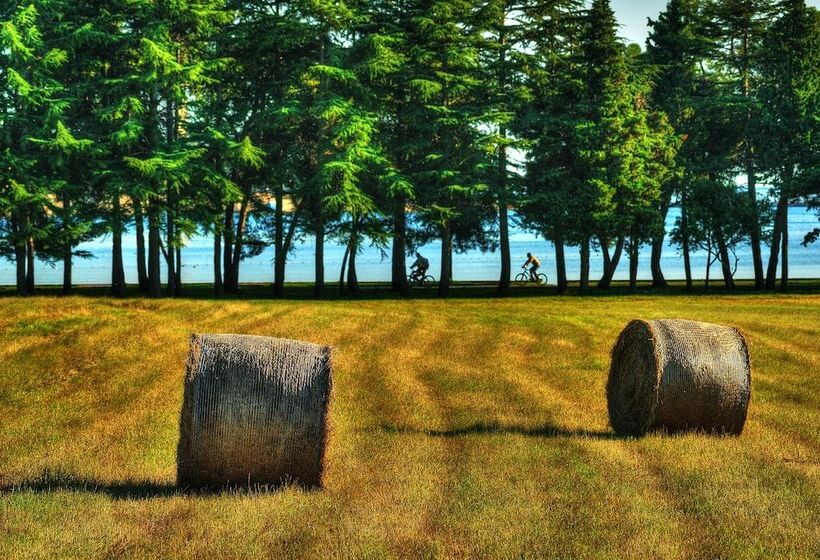 בית מלון כפרי Rivalmare Boutique