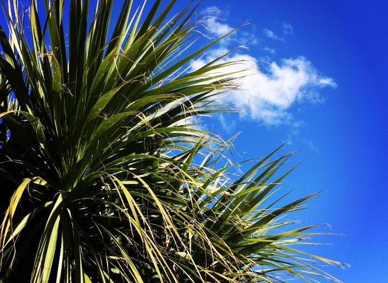 호텔 The Lovecroft Guest House