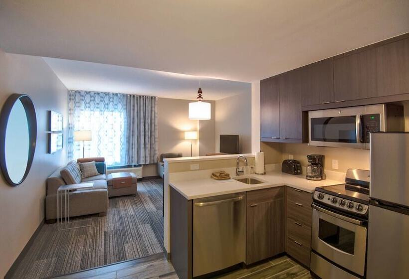 בית מלון כפרי Towneplace Suites By Marriott Miami Airport