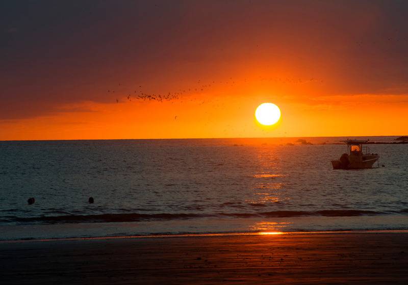 酒店 Villas Playa Samara Beach Front Resort