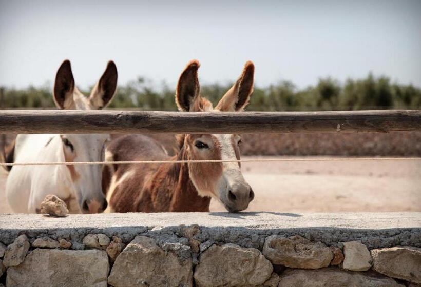 Masseria Prosperi