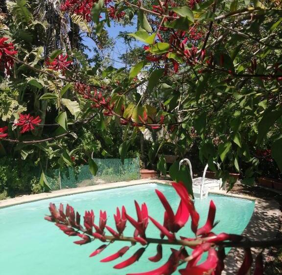 پانسیون Dar El Yasmine Tunis