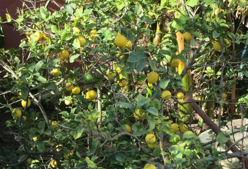 پانسیون Dar El Yasmine Tunis