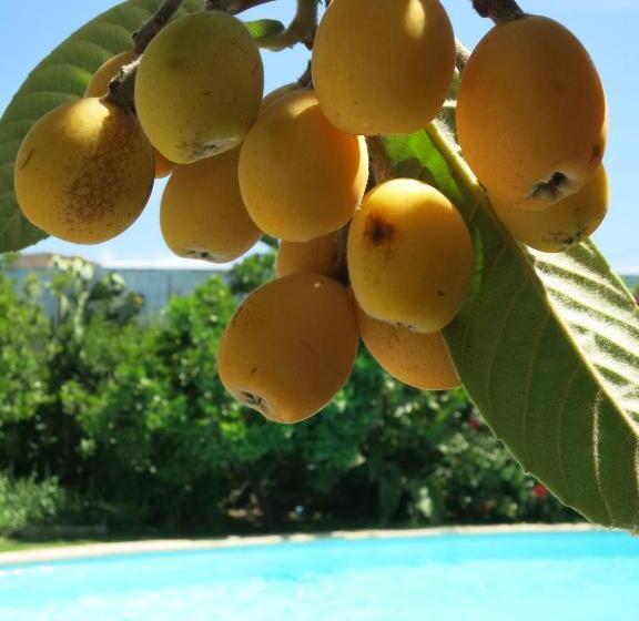 پانسیون Dar El Yasmine Tunis