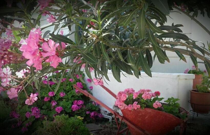 پانسیون Smaragdi Studios And Rooms