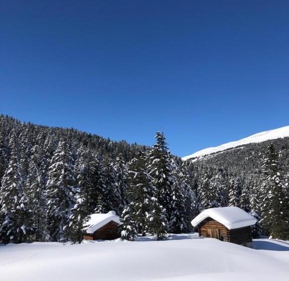 Piccolo Hotel Claudia No Pets