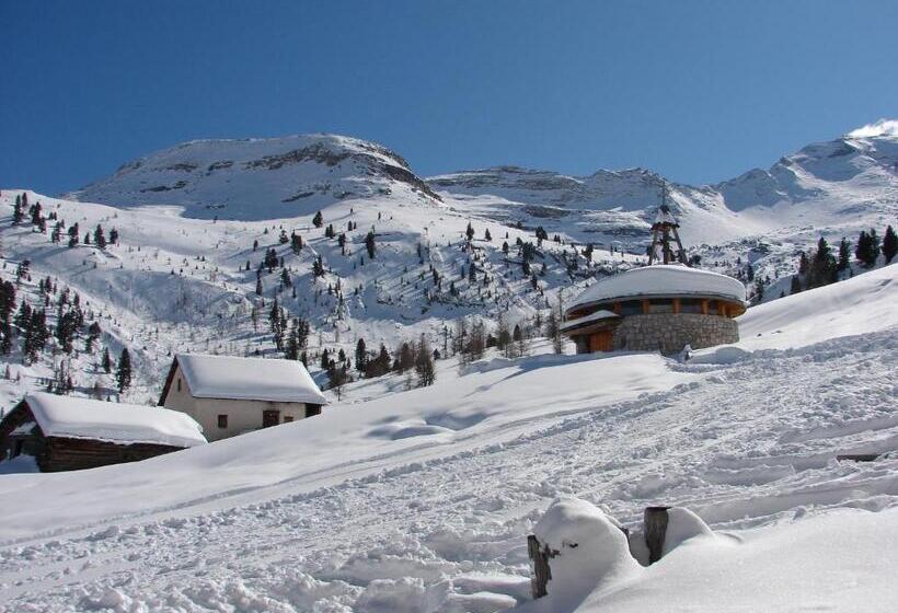 Piccolo Hotel Claudia No Pets