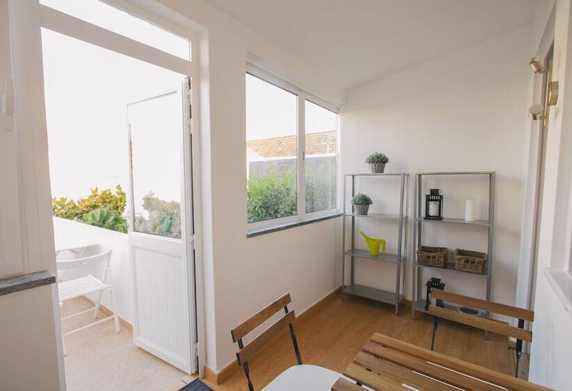 Ptm Downtown Hostel&suites