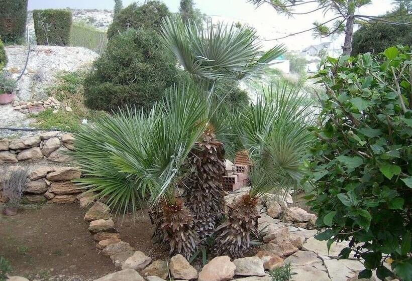 Rantzo Holiday Apartments