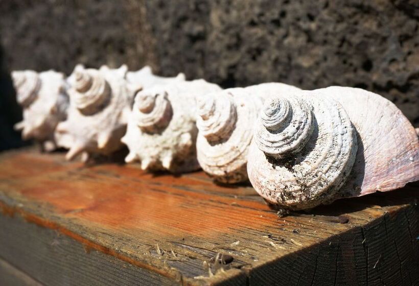 Unnie Guesthouse   Hostel