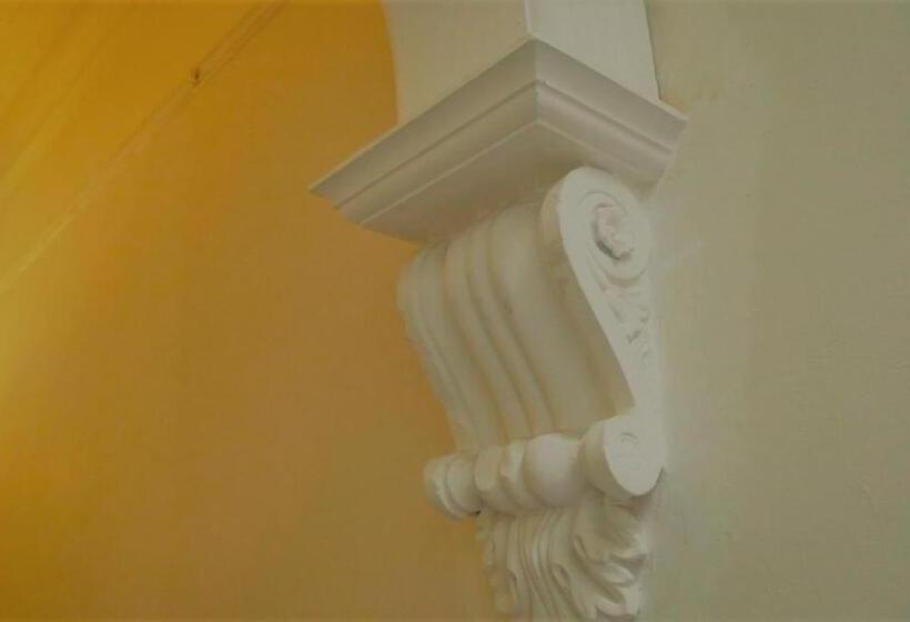 ユースホステル Myozexp Palmerston Lodge