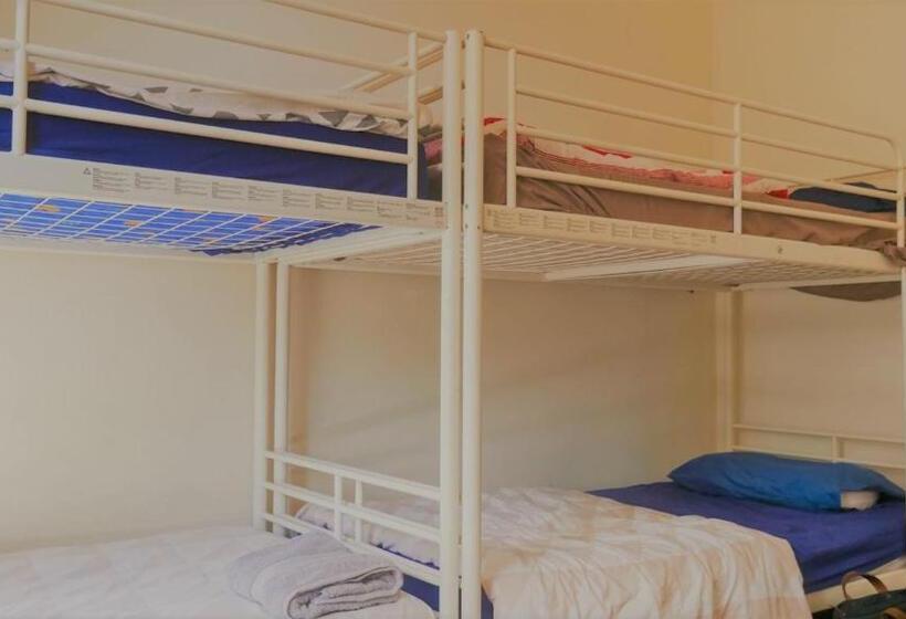 هاستل Myozexp Palmerston Lodge