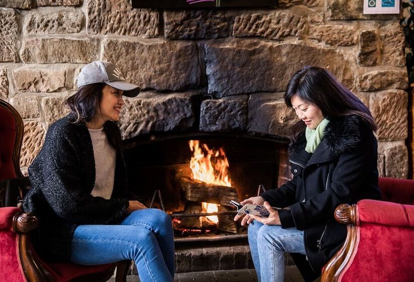 ユースホステル The Pickled Frog