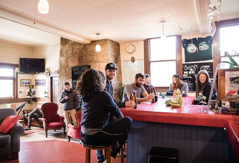 هاستل The Pickled Frog