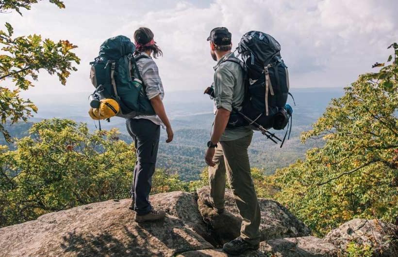 ユースホステル Wickham Retreat Backpackers