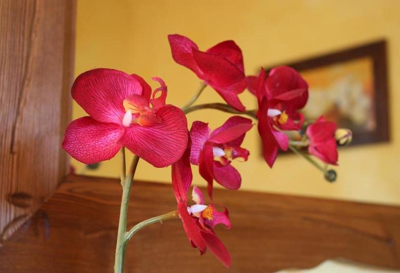 צימר Affittacamere Les Noyers