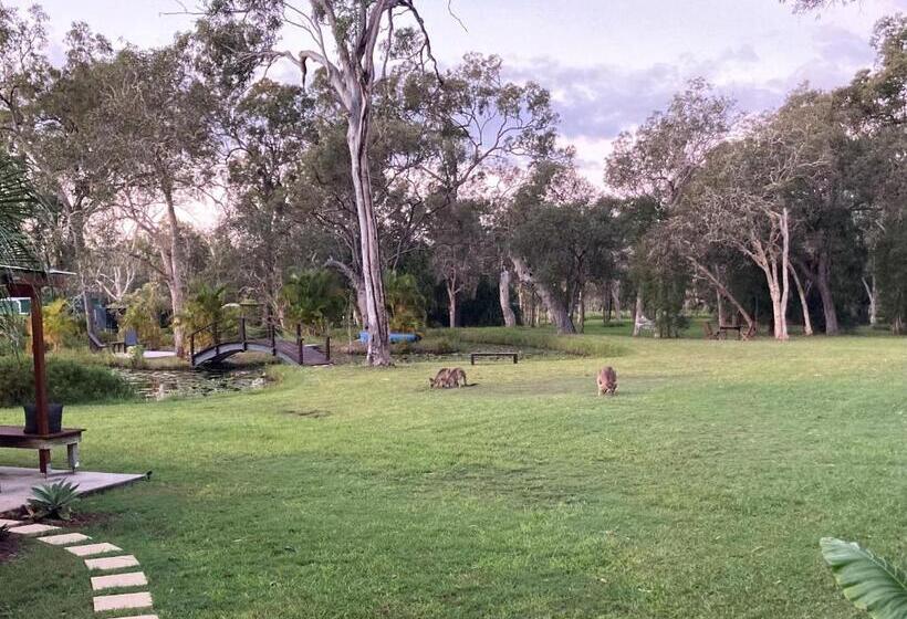 צימר Agnes Water Stays Over18 S