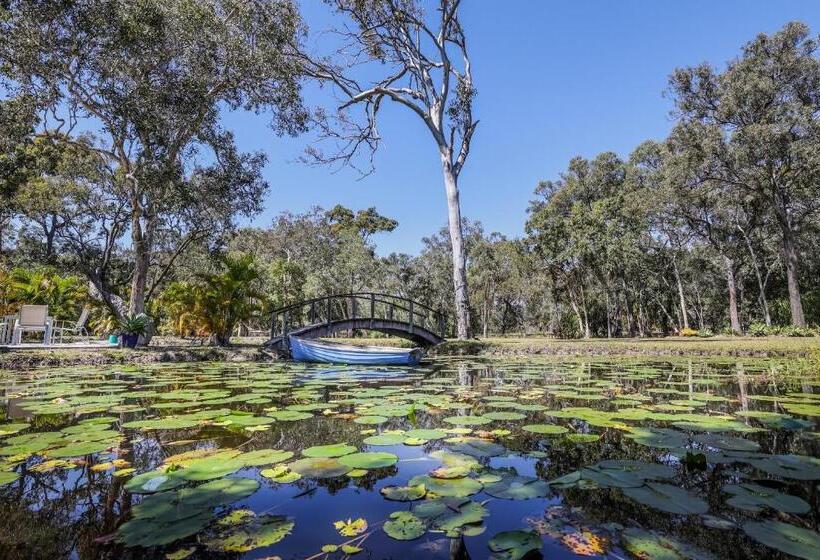 צימר Agnes Water Stays Over18 S