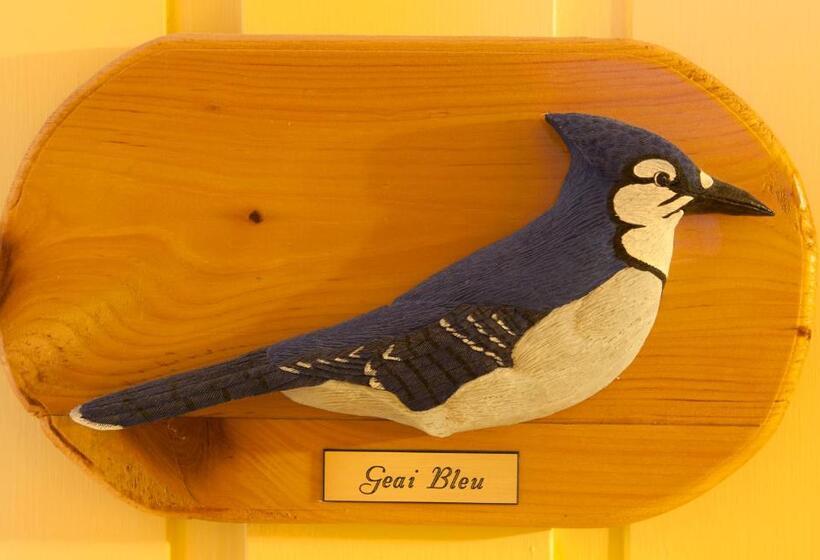 住宿加早餐  à Amour Et Amitié