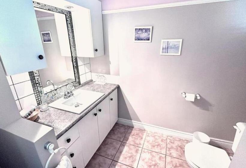 住宿加早餐  Bnb Maison Drew