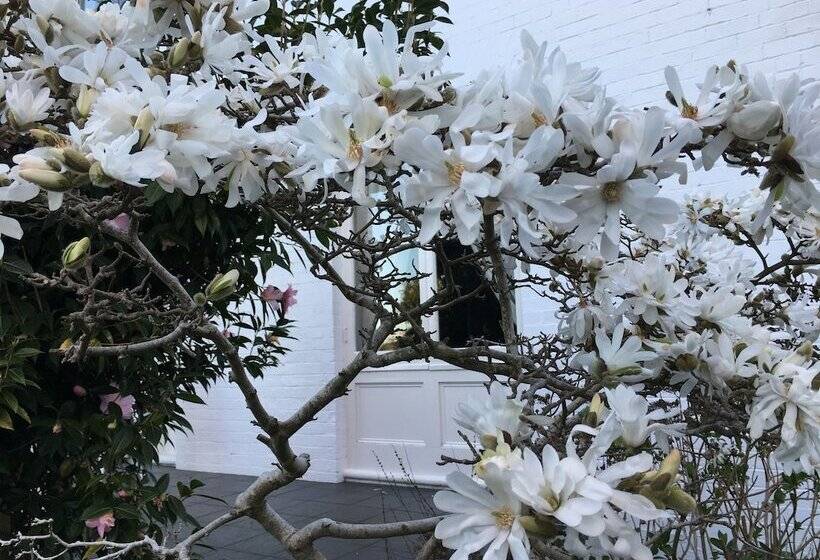 مبيت وإفطار Boscobel Of Tasmania