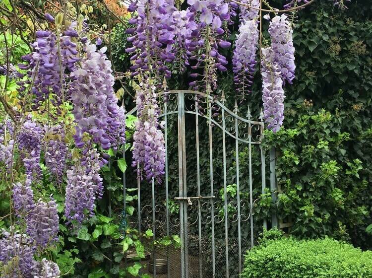 مبيت وإفطار Boscobel Of Tasmania