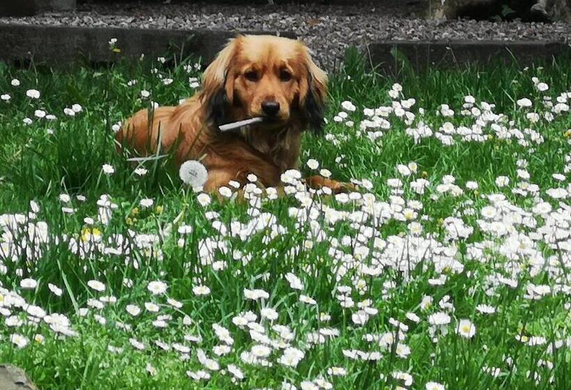 住宿加早餐  Casa Antica Mosaici