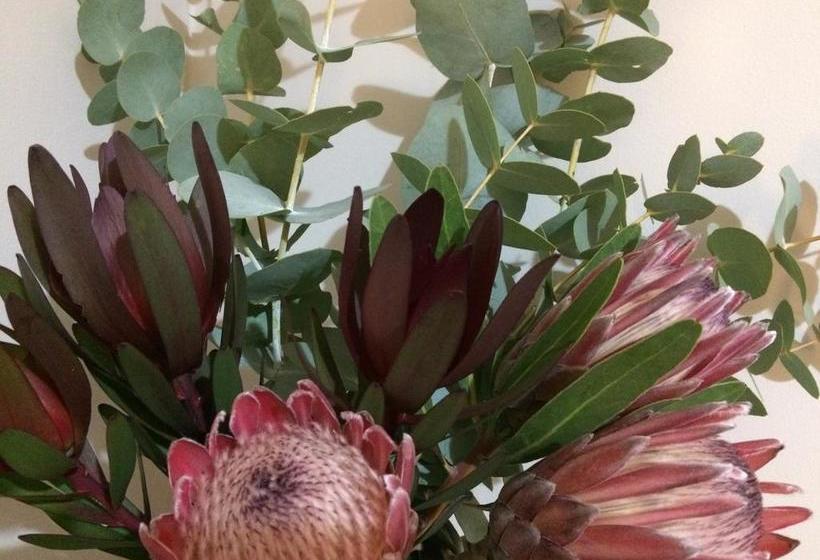 ベッドアンドブレックファースト Character & Charm In The Heart Of The City