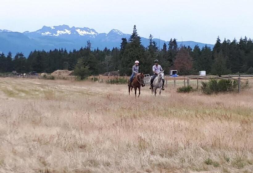 住宿加早餐  Paradise Acres Ranch