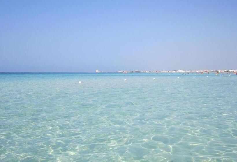 مبيت وإفطار Tenuta Monaci La Murra