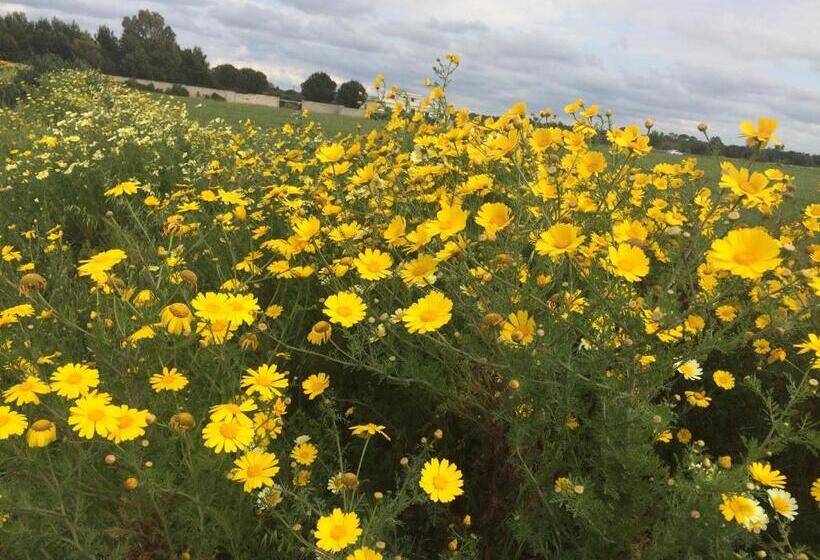 צימר Tenuta Monaci La Murra